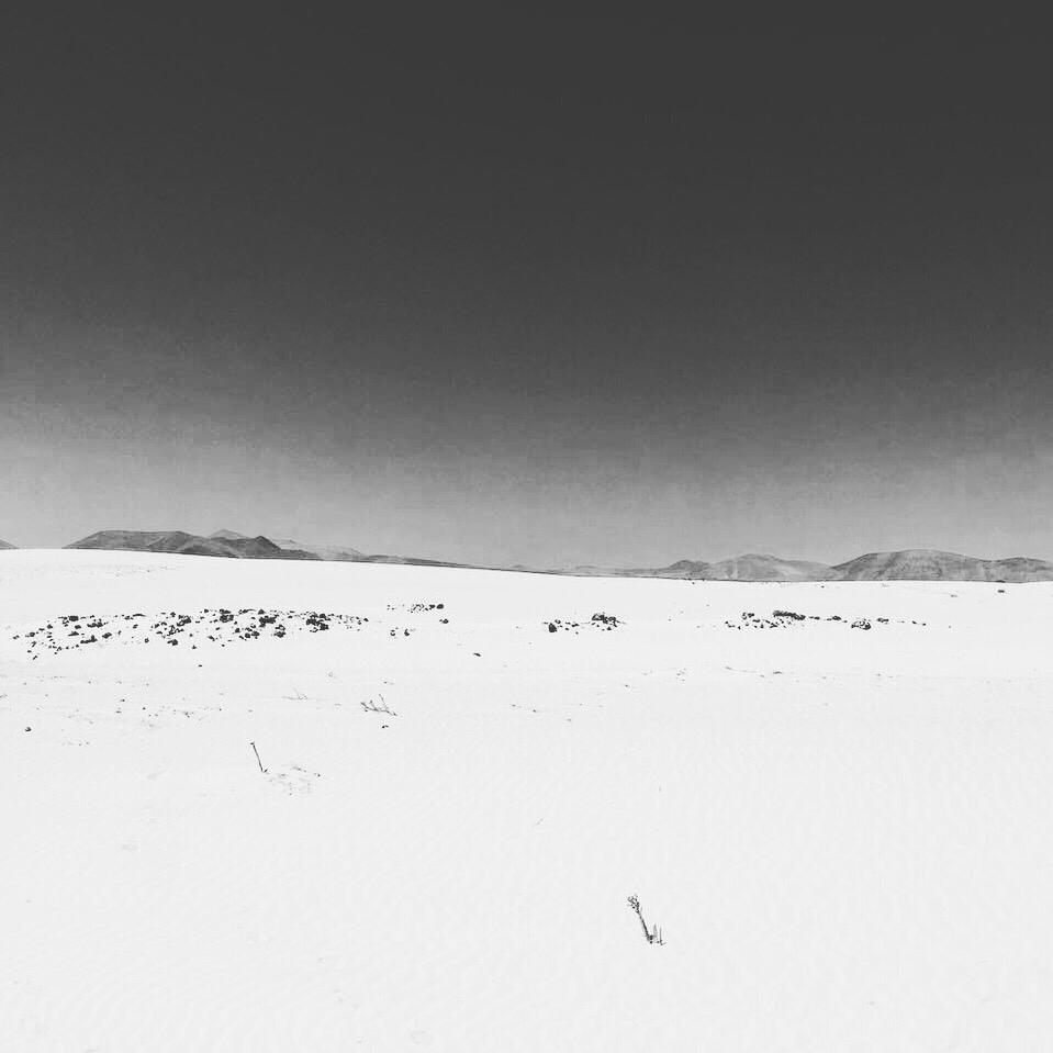 c5322fa0-8899-4d44-8bf5-38689ca71956